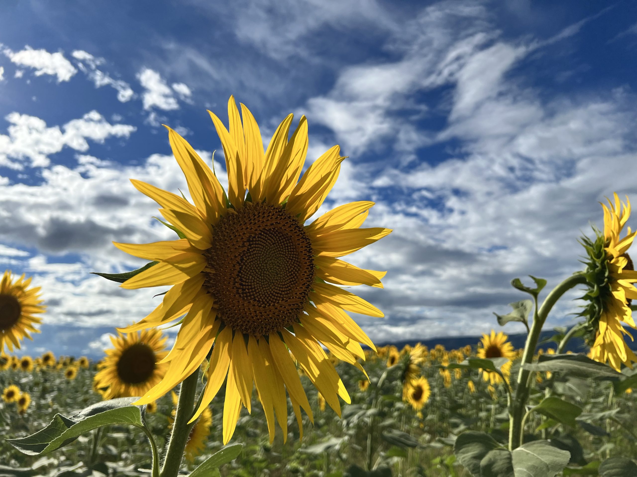 心身ともに・・・