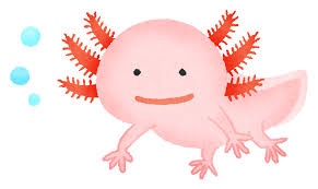 家族の仲間入り😊