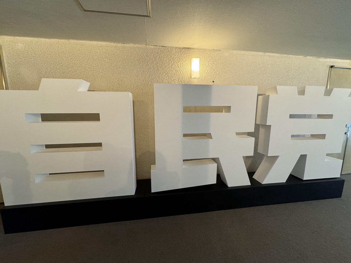 いよいよ衆議院選挙始まる