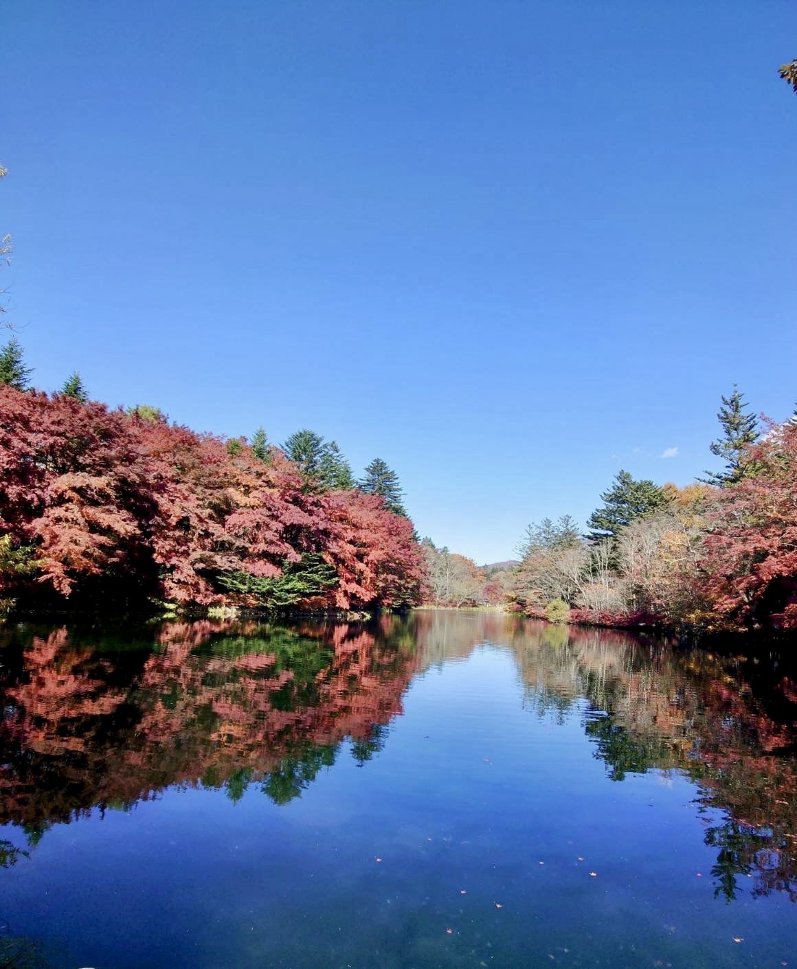 紅葉シーズン🍁