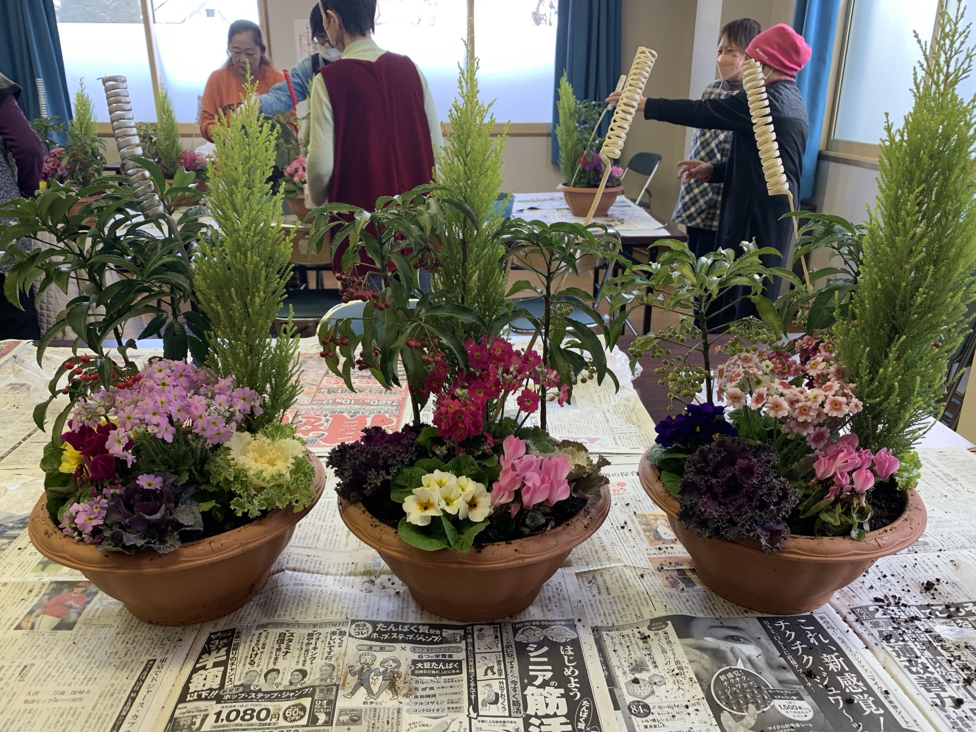 寄せ植えに挑戦‼️